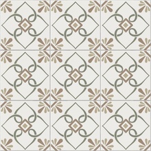 Harmony Provenza 37790 Green Petals keramisch graniet 22,3x22,3 cm, Spanje - foto 1 - foto 2