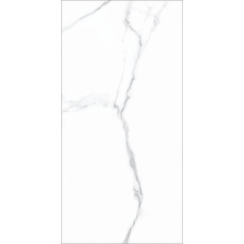 Herberia Marmi Pregiati С000477971 HMPP12_MpStatuario60X120 porcelænsflise 60x120 cm, Italien, statuario - foto 1 - foto 1
