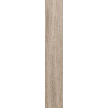 Herberia Minimal Wood С000554299 HMWP05C_MinimalWoodOlmoRett20X120 gres porcelanato 20x120 cm, Itália, árvore - foto 1 - foto 1