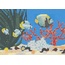 Hisbalit North Atlantic С000459826 Florida Tampa Glossy 2,5*2,5 Mosaic 33,33x33,33 cm, Spain - photo 1