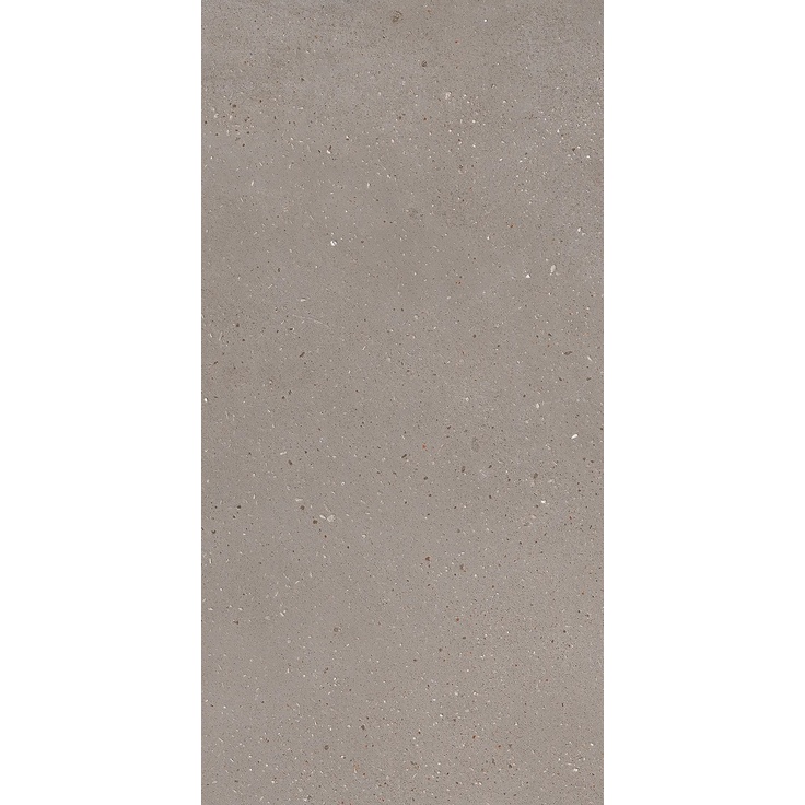 Imola Blox С000495181 Blox36AgRm granitkeramik 30x60 cm, Italien, under betong - foto 1 Imola Blox С000495181 Blox36AgRm granitkeramik 30x60 cm, Italien, under betong - foto 1