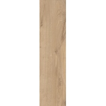 Imola Elixir С000566325 ELXR3012BS ASRM keramisch graniet 30x120 cm, Italië, hout - foto 1 - foto 1