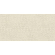 Imola Forma С000628219 200665_Chic612Av keramisch graniet 60x120 cm, Italië, monokleur - foto 1 - foto 1