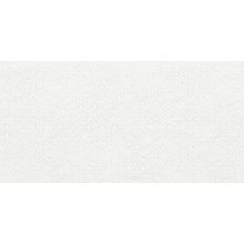 Imola Forma С000628218 200664_Chic612Zn keramisch graniet 60x120 cm, Italië, monokleur - foto 1 - foto 1