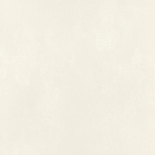 Imola Mycro С000628254 200051_MycroR120w*Rm porcelain tile 120x120 cm, Italy - photo 1 - photo 1