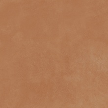 Imola Retina С000628315 200200_Rtn6Aranc60Rm keramisch graniet 60x60 cm, Italië, hars - foto 1 - foto 1