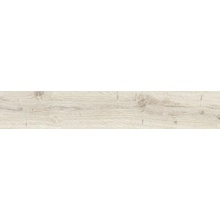 Impronta italgraniti Alnus AU01EAA Puro Antislip keramisch graniet 20x120 cm, Italië, houtlook - foto 1 - foto 1
