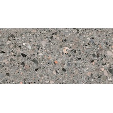 Impronta italgraniti Charm Experience AC02BA Ceppo Artistico Sq keramisch graniet 60x120 cm, Italië, terrazzo - foto 1 - foto 1