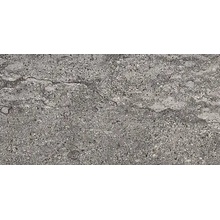 Impronta italgraniti Stone Mix С000257502 TX0460_QuarziteGrey30X60 keramisk granitt 30x60 cm, Italia, kvartsitt - foto 1 - foto 1