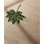 Isla Tiles Legni d′Italia 20x120, glassert keramisk granittflis, Italia, tre - interiørfoto 19 Isla Tiles Legni d′Italia 20x120, glassert keramisk granittflis, Italia, tre - interiørfoto 19