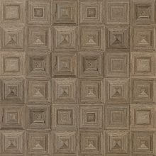 Isla Tiles Shibusa С000501934 1005423_TextureShib.TortoraRet60X60 keramisk granitt 60x60 cm, Italia, trelook - foto 1 - foto 1