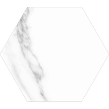 ITT Ceramic White Soul С000385807 HEXA SOUL MATT 23x27 gres porcelanato 23x27 cm, Espanha, outros tipos de mármore - foto 1 - foto 1
