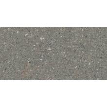 Keope Limes С000567320 2KFC_LimesPorfidoCold_r11_22,5x45,3 keramisch graniet 22,5x45,3 cm, Italië, andere soorten steen - foto 1 - foto 1