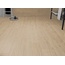 La Fabbrica Ava Cà Foscari 20x120, porcelanato não esmaltado, Itália, árvore - foto de interior 4