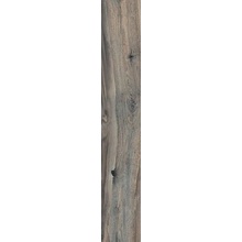 La Fabbrica Ava Kauri С000300615 75085_20X120FiordlandRett. granitkeramik 20x120 cm, Italien, traimitation - foto 1 - foto 1