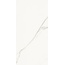 La Faenza Aesthetica С000567761 AE EXT6 12 LPM porcelain tile 60x120 cm, Italy, statuario - photo 1