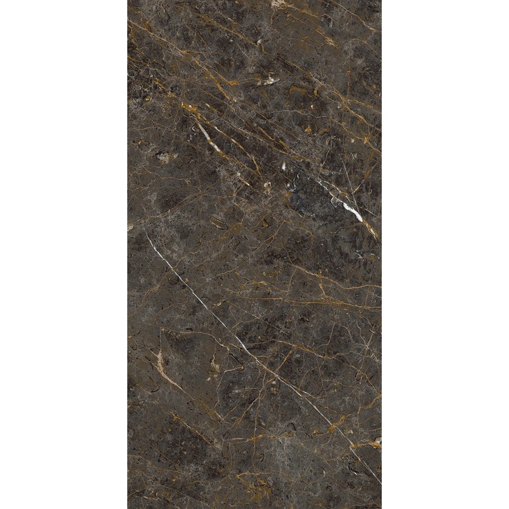 La Faenza Aesthetica С000567770 AE GOL6 12 LPM porcelain tile 60x120 cm, Italy, other types of marble - photo 1 La Faenza Aesthetica С000567770 AE GOL6 12 LPM porcelain tile 60x120 cm, Italy, other types of marble - photo 1
