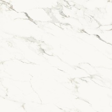 La Faenza Aesthetica С000567748 AE CAP6 120 RM keramisk granitt 120x120 cm, Italia, andre marmortyper - foto 1 - foto 1