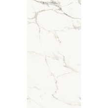La Faenza Aesthetica С000567751 AE CAP6 12 LP keramisk granitt 60x120 cm, Italia, andre marmortyper - foto 1 - foto 1