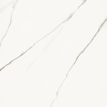 La Faenza Aesthetica С000567757 AE EXT6 120 RM keramisk granitt 120x120 cm, Italia, statuario - foto 1 - foto 1