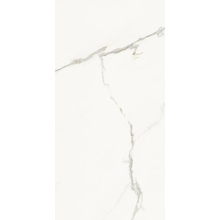 La Faenza Aesthetica С000567760 AE EXT6 12 LP keramisk granitt 60x120 cm, Italia, statuario - foto 1 - foto 1