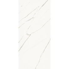 La Faenza Aesthetica С000590755 AE EXT6 278 LPM keramisk granitt 120x278 cm, Italia, statuario - foto 1 - foto 1