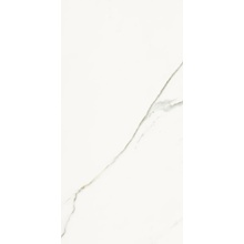 La Faenza Aesthetica С000567761 AE EXT6 12 LPM keramisk granitt 60x120 cm, Italia, statuario - foto 1 - foto 1