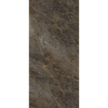 La Faenza Aesthetica С000590756 AE GOL6 278 LP keramisk granitt 120x278 cm, Italia, andre marmortyper - foto 1 - foto 1