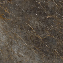 La Faenza Aesthetica С000567767 AE GOL6 120 LP keramisk granitt 120x120 cm, Italia, andre marmortyper - foto 1 - foto 1