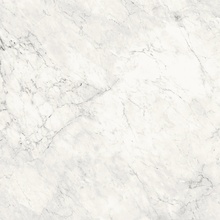 La Faenza Aesthetica С000537418 AeCal6120Lp keramisk granitt 120x120 cm, Italia, calacatta - foto 1 - foto 1