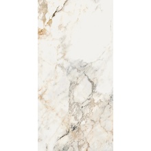 La Faenza Aesthetica С000537434 AePao612Lp keramisk granitt 60x120 cm, Italia, andre marmortyper - foto 1 - foto 1