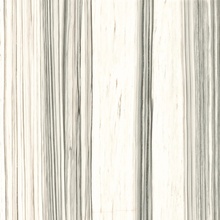 La Faenza Aesthetica С000592198 AE ZEB6 120 LP keramisk granitt 120x120 cm, Italia, andre typer av stein - foto 1 - foto 1