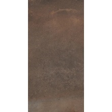 La Faenza CottoFaenza С000357405 Cottofaenza36ct Керамогранит 30x60 см, Италия, под котто - фото 1 - фото 1