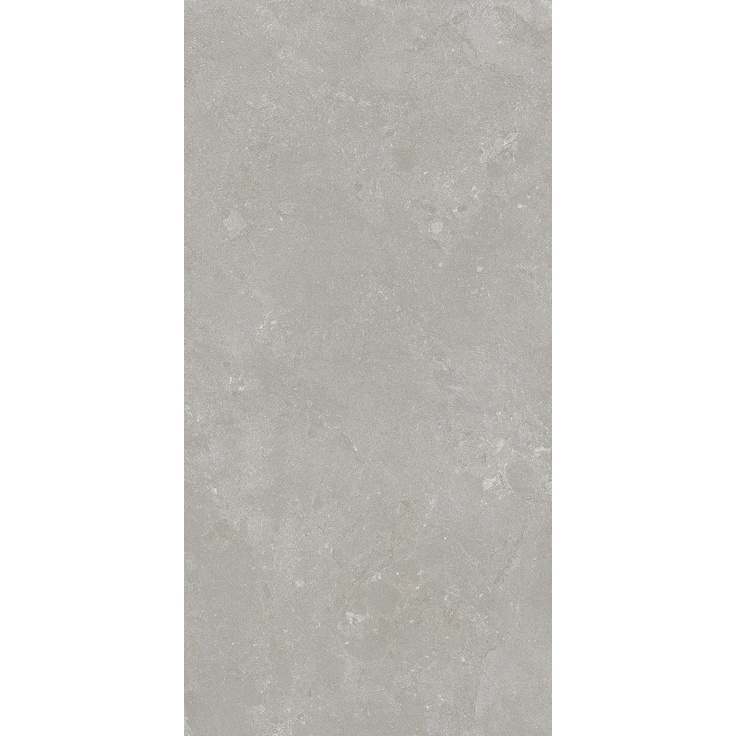 La Faenza Party С000592118 ALGAR6 12G RM porcelain tile 60x120 cm, Italy, other types of stone - photo 1 La Faenza Party С000592118 ALGAR6 12G RM porcelain tile 60x120 cm, Italy, other types of stone - photo 1
