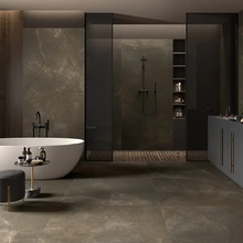 La Faenza Trex3 60x60, gres porcelánico sin esmalte, Italia, otros tipos de mármol - foto de interior 1 - foto 2