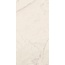 La Faenza Trex3 С000369005 TREX 12W RM Feinsteinzeug 60x120 cm, Italien, andere marmorsorten - Foto 1