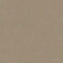 Leonardo Code С000627887 200142_CdBronze120 keramisch graniet 120x120 cm, Italië, hars - foto 1 - foto 1
