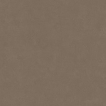 Leonardo Code С000627888 200143_CdDove120 keramisch graniet 120x120 cm, Italië, hars - foto 1 - foto 1