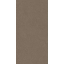 Leonardo Code С000627897 200152_CdDove12 keramisch graniet 60x120 cm, Italië, hars - foto 1 - foto 1