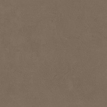 Leonardo Code С000627906 200161_CdDove60 keramisch graniet 60x60 cm, Italië, hars - foto 1 - foto 1