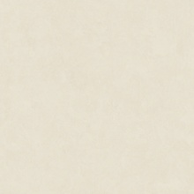 Leonardo Code С000627884 200139_CdExtwhite120 keramisch graniet 120x120 cm, Italië, hars - foto 1 - foto 1