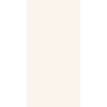 Leonardo Endless С000470065 ENDL TU12W LLL porcelain tile 60x120 cm, Italy, monochrome - photo 1 - photo 1