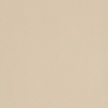 Leonardo Icon С000205330 IconAlmond120L porcelænsflise 120x120 cm, Italien, monokrom - foto 1 - foto 1