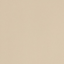 Leonardo Icon С000205549 IconAlmond60 porcelænsflise 60x60 cm, Italien, monokrom - foto 1 - foto 1