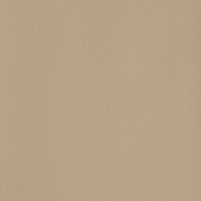 Leonardo Icon С000205331 IconBeige120L porcelænsflise 120x120 cm, Italien, monokrom - foto 1 - foto 1