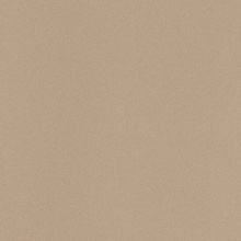 Leonardo Icon С000205550 IconBeige60 porcelænsflise 60x60 cm, Italien, monokrom - foto 1 - foto 1