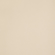 Leonardo Icon С000205346 IconCream120 porcelænsflise 120x120 cm, Italien, monokrom - foto 1 - foto 1