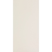 Leonardo Icon С000205510 IconWhite12L porcelænsflise 60x120 cm, Italien, monokrom - foto 1 - foto 1