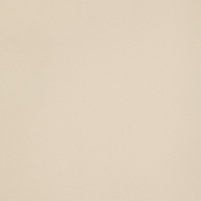 Leonardo Icon ICON CREAM 120L keramisch graniet 120x120 cm, Italië - foto 1 - foto 1