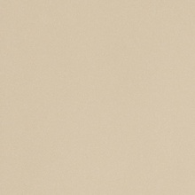 Leonardo Icon ICON ALMOND 60 keramisch graniet 60x60 cm, Italië - foto 1 - foto 1